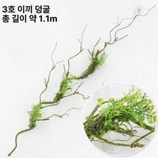 식물 조경 마당꾸미기 정원 인테리어 인조이끼 매트 인조조경 인공 이끼 장식 쇼윈도 셀프, 3번 인조 이끼 나무덩굴