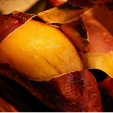 건행팜 호풍미 풍원미 당근고구마, 1박스, 한입 1kg