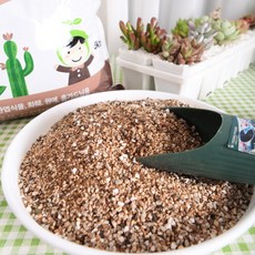 SKFARM 다육이 전용 분갈이흙 선인장흙, 1개, 2L