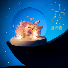 處女座乾燥花玻璃罩夜燈擺飾，浪漫永生花禮物，療癒居家裝飾，生日禮品推薦, 十二星座永生花燈飾盅－處女座 Virgo（綠、白色）