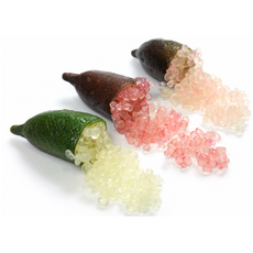 상큼팡팡 비타민듬뿍 국산핑거라임 Finger Lime 입안에서 톡터지는핑거라임 캐비어라임 ASMR과일 라임 바다포도 냉동핑거라임과일, 1개