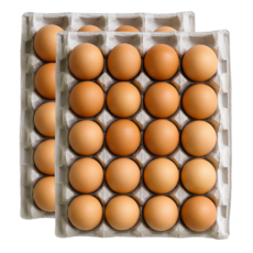 난각번호1번 유정란 달걀 계란 무항생제 자연방사, 40구, 1개