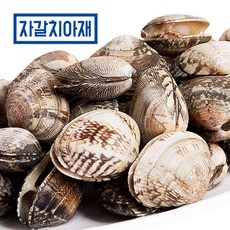 [자갈치아재] 해감 손질 바지락 900g, 1개, 단품