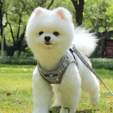 반려견 체크 패턴 기본 베이직 조끼 하네스 리드줄 애견밖외출산책 산책필수템, 그레이 L, 선택:그레이 L