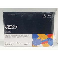 ART NATION 專業寫生畫布本 (A3) 10張, 已打底棉布
