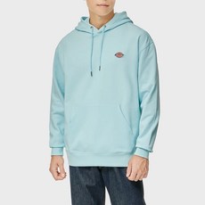 디키즈 DICKIES 프렌치 테리 릴렉스드 스몰 자수 로고 후드 티셔츠 Iced Aqua