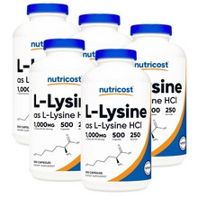 뉴트리코스트 L- 라이신 1000mg 캡슐 Nutricost L-Lysine, 500정, 5개