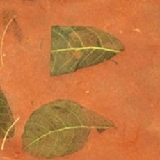 잎새지 5장 한지로응용한지3 35521 50192pc 1(pc), 4_연녹색