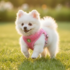 셀리스홈 강아지 하네스 리드줄 세트 소형견 하네스 강아지 목줄, 1세트, 핑크