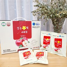 청송 착즙 사과즙, 5kg, 1박스