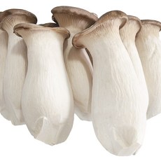 "나씨네" 국내산 어디에도 없었다 상태좋고 맛좋은 새송이 버섯 들여가세요, 1박스, 2kg