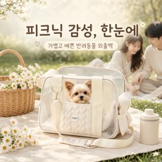 소형견 고양이 겸용 투명 통기성 펫 캐리어 핸들 휴대용 반려동물 외출 가방 여행 차량 이동용 펫 가방