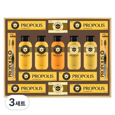 LG생활건강 선물세트 프로폴리스 A호 + 쇼핑백, 3세트