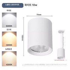 실링 원통직부등 벽조명 천장등 부엌등 조명 원형직부조명 인테리어, 10W 6000K 7.5cm 10cm