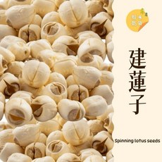 建蓮子 紡蓮子 600g 脫水乾貨, 1個, 300克建蓮子