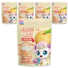 캐치티니핑 동결건조 과일칩 말린과일 아기간식 국내산 100% 천연 배칩, 15g, 5개
