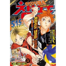 하이큐!! 챔프 쓰레기장의 결전 만화책