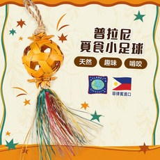 嘟嘟鳥寵物 美國普拉尼Planet Pleasures 覓食小足球 鳥類玩具, 1個
