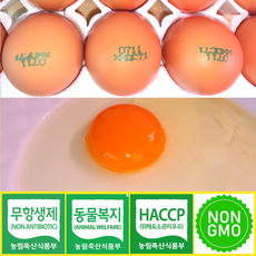 [ 산들프레시 ] 섬진강 강변축산 자미유정란 왕란 동물복지 난각번호1번 계란 자연방사 유정란, 1개, 10구