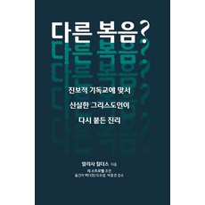 다른 복음?:진보적 기독교에 맞서 신실한 그리스도인이 다시 붙든 진리, 도서출판 콜슨, 알리사 칠더스 저/백다현,오요셉 공역