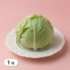 [가든엔] 국내산 알뜰 양상추 손질 개별포장, 1개, 250g
