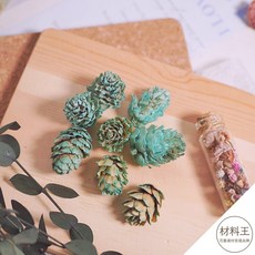 聖誕節 彩色松果 染色毬果 裝飾素材, 1個, 湖水綠