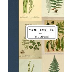 (영문도서) Vintage Prints: Ferns: Vol. 7 Paperback, Createspace Independent Pub..., English, 9781721233151