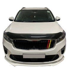 올뉴쏘렌토 기아 튜닝 본넷 버그가드 본닛가드 튜닝, 1개