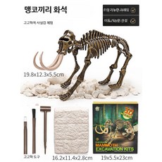 공룡 화석 발굴 키트 DIY 고고학 체험 보물찾기 손작업 보석알 발굴 놀 고고학 매머드 화석 세트, 1개