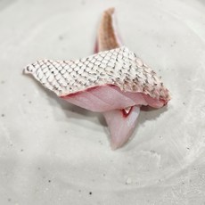 당일작업 썰어먹는 자연산 쫀득하고 부드러운 프리미엄 참돔 필렛, 1개, 400g
