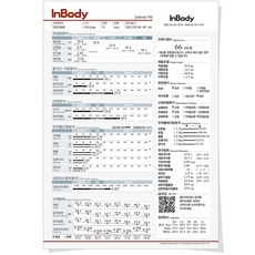 인바디570 용지 결과지 종이 프린트 출력표 500매, 소아용 결과지1, 1박스, 소아용 결과지1