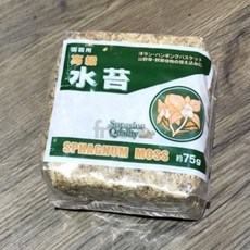 에잇룸 천연수태 75g 건조 건조이끼