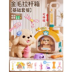 玩具狗狗走路會叫兒童電動毛絨泰迪金毛狗玩偶男女孩寶寶生日禮物, 1個, 拉桿金毛寵物屋基礎款【無彩盒】:1