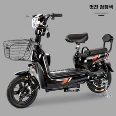 전동스쿠터 출퇴근 배달 전기자전거, A. 48V, G. 검정 20Ah 흑금 납산 배터리 약 160km