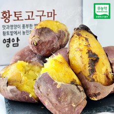 국내산 영암 친환경 울팜 황토 고구마 명품 꿀고구마, 1개, 황토고구마_2kg