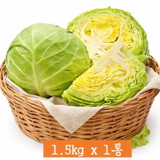 [타임 15%] 산지 직송 아삭하고 달콤한 양배추 신선함이 달라요!, 1개, 1.5kg