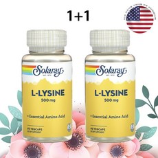 솔라레이 리신 500mg 60캡슐 라이신 L라이신 x 2병, 2개, 60정