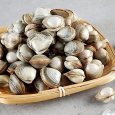 동죽살 200g 3팩, 3개