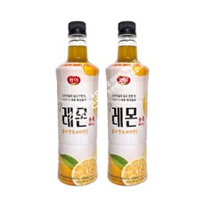 광야식품 허니레몬 농축 베이스, 2개, 970ml
