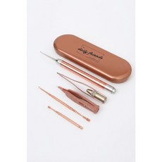 데일리프렌즈 LED 귀이개 5종 + 하드 케이스 세트 로즈골드, 1세트