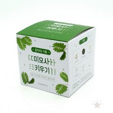 반응식물재배 신기한식물키우기 감성원예세트 홈가드닝박스 힐링취미 책상인테리어, 1개