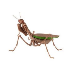 난초사마귀 곤충모형 피규어 모델 큰칼 장난감 유체 장식 모조 거대, 예매, B. P1 3 일반상태 개봉 페어링