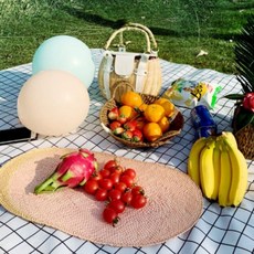 대형 체크 캠핑매트 방수 돗자리 피크닉 소풍 야외 나들이, 라이프원 피크닉매트(150*200)- 모카