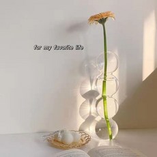 【2萬人好評】ins韓國透明球球玻璃花瓶水樣插花花瓶 客廳擺件小衆擺件拍照, 隨機花瓶,一個裝