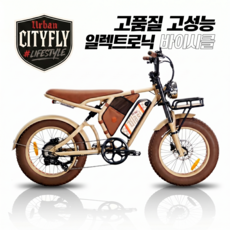 마이클블라스트 PONYBOY 500W PAS 48V 20Ah 전기자전거, 샌드브라운, 알루미늄