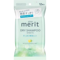메리트 MERIT 드라이샴푸 시트 12매입, 1개