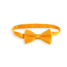 나비넥타이 남아보타이