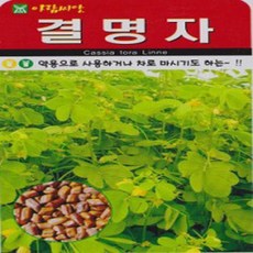 아-결명자 200립, 1개