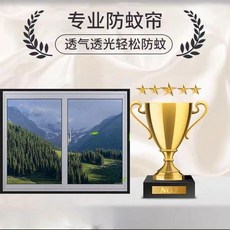專業防蚊窗紗 透氣透光簡易紗窗戶網, 寬60釐米髮灰沙黑邊,高度80釐米加密50目, 灰沙黑