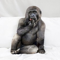 굴뚝강아지 큐티 고릴라 인형 쿠션, 1개, 단일, 50cm